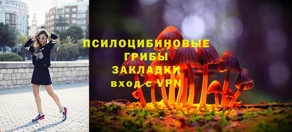 2c-b Алзамай