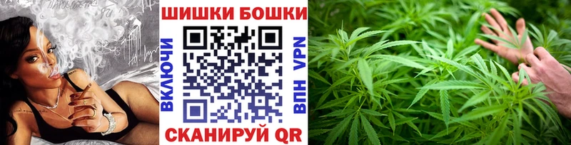 Бошки Шишки MAZAR  сколько стоит  Сураж 
